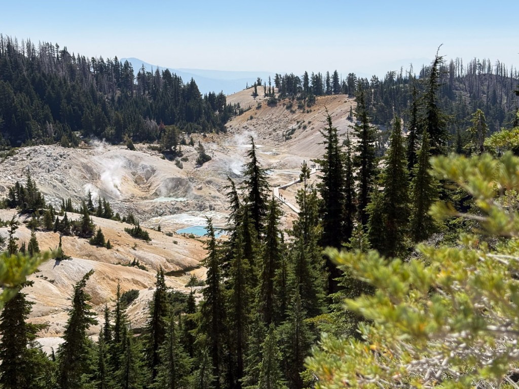 View of Bumpass Hell landscape in Lassen National Park. Trees in foreground and background with barren ground in middle.