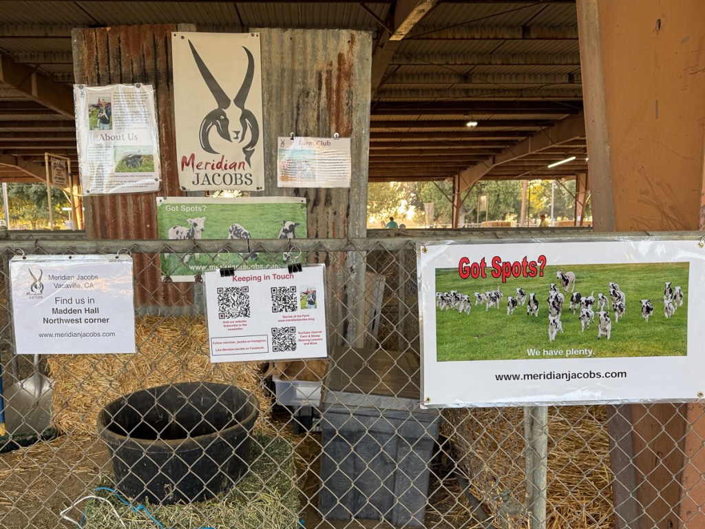 Meridian Jacobs display pen with signs about Jacob sheep and the business.