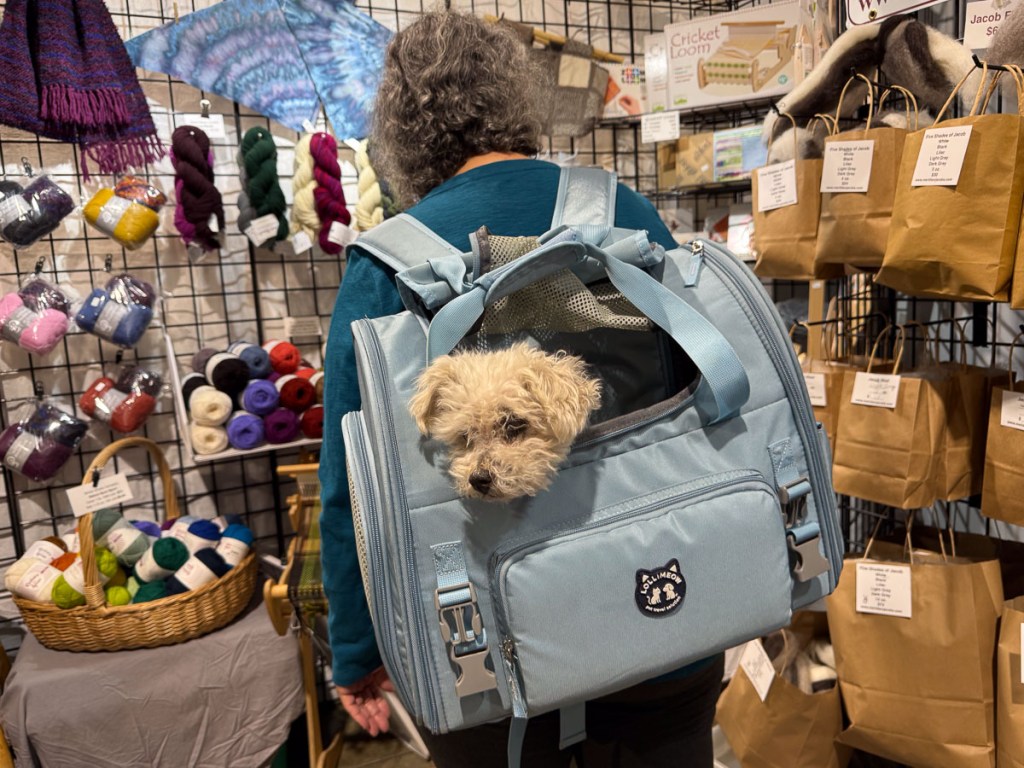 The back of a woman shopping for wool with a backpack carrying a small dog whose head is poking out the hole in the backpack.