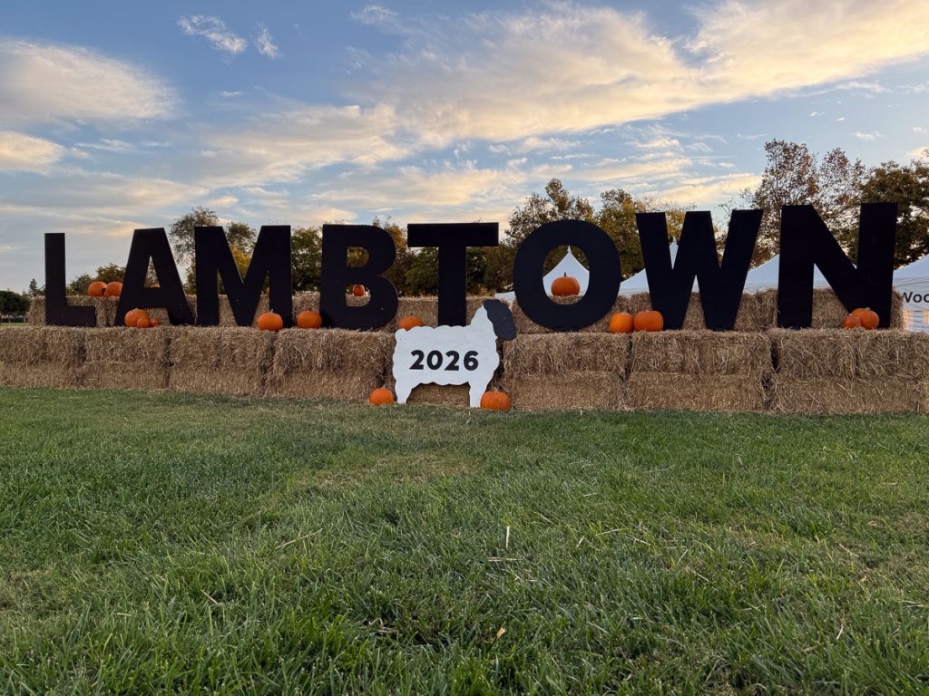 Large letters spell out LAMBTOWN and are propped on bales of sutra with orange pumpkins around.