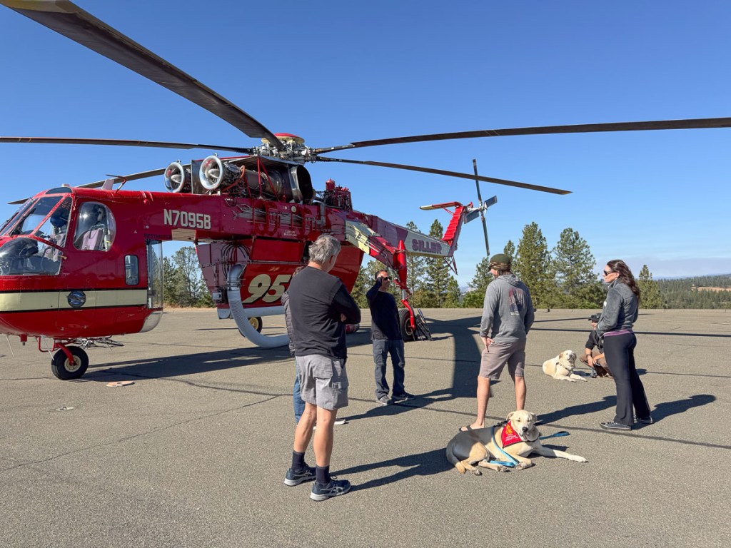Sky crane helicopter with people and two dogs in front.